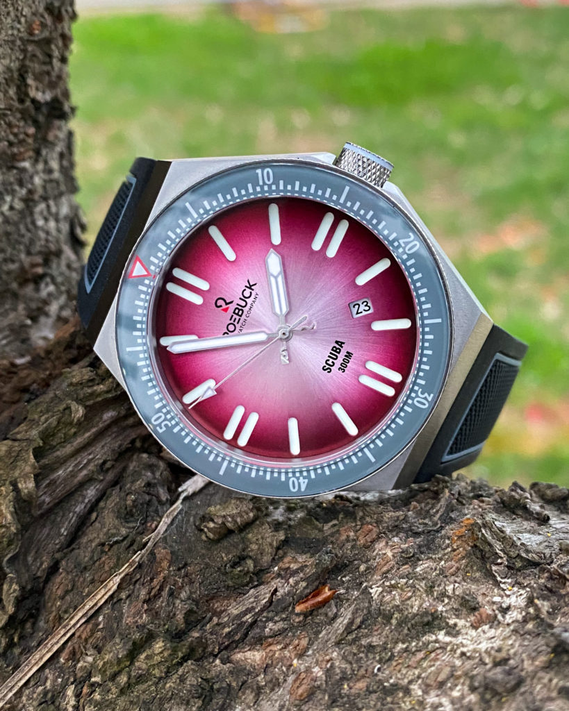 Roebuck Scuba in Pink Review